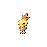 Torchic