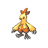 Combusken