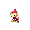 Chimchar